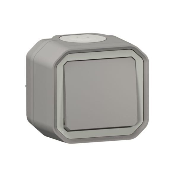 Legrand Waterproof Switch Plexo 1 Gang 2 Way 10AX 250V~ IP55