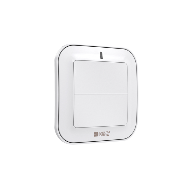 Delta Dore Wireless Switch for lighting, dimming, scenario or control systems