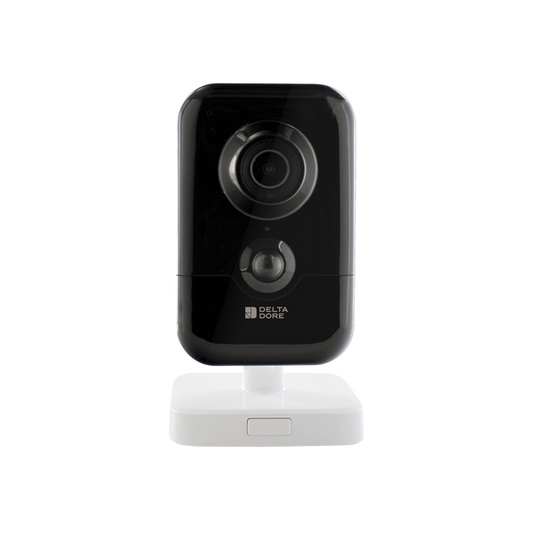 Delta Dore Smart Indoor Camera