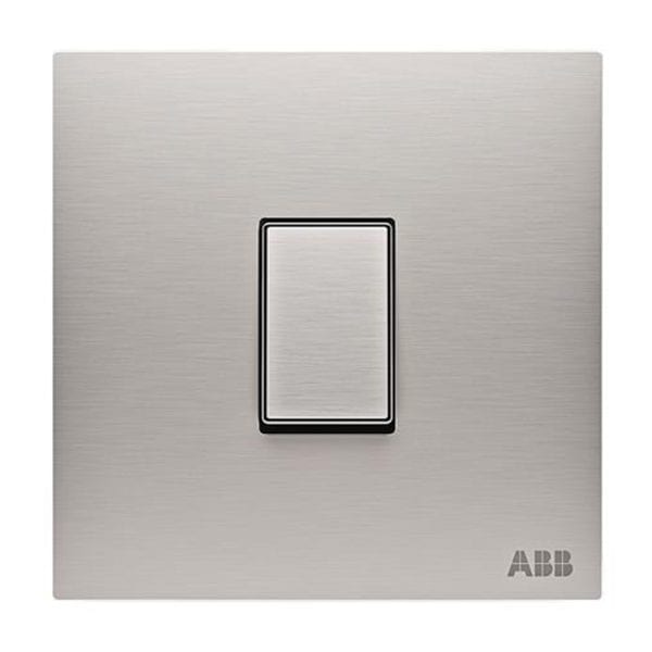 ABB Millenium Stainless Steel Switch 1 gang 2 Way (10AX)