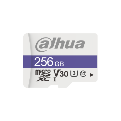 Dahua Micro SD Card Class10 256GB (TF-C100/256GB)