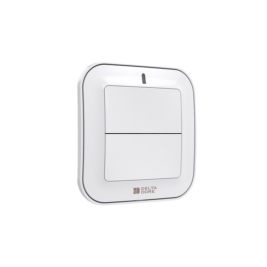 Delta Dore Wireless Switch for lighting, dimming, scenario or control systems
