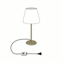 Delta Dore Receiver switch for controlling lamp lighting on/off