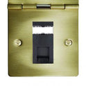 Hamilton Sheer Floor Telephone and Data Sockets